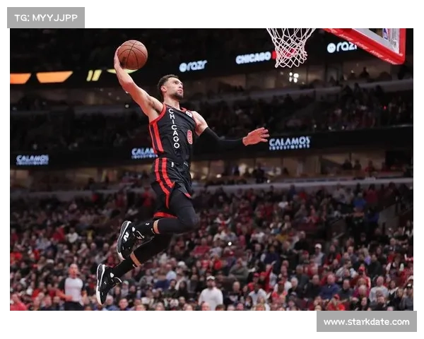 公牛队比赛录像